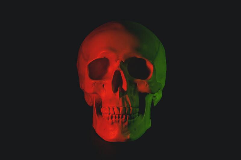 Mito3D 3d models suggestion Skull background image