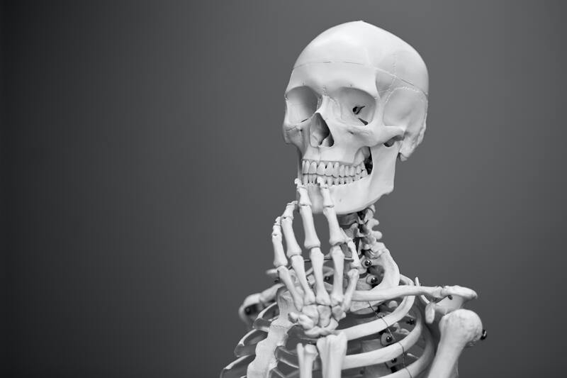 Mito3D 3d models suggestion skeleton background image